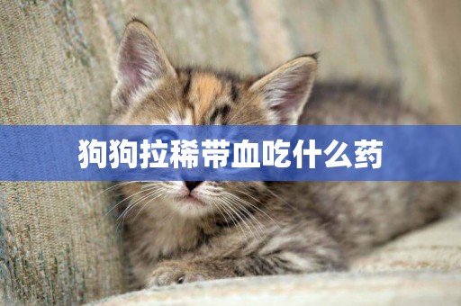 狗狗拉稀帶血吃什么藥