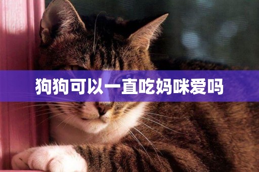狗狗可以一直吃媽咪愛嗎
