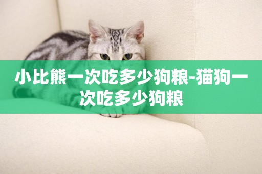 小比熊一次吃多少狗糧-貓狗一次吃多少狗糧