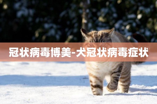 冠狀病毒博美-犬冠狀病毒癥狀