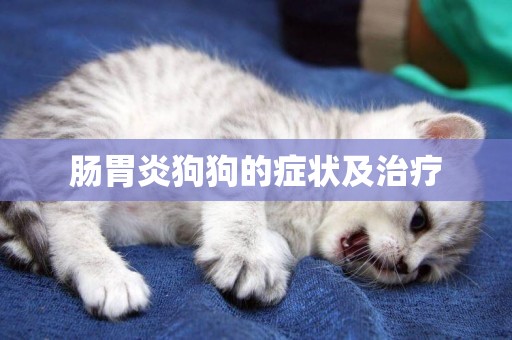 腸胃炎狗狗的癥狀及治療