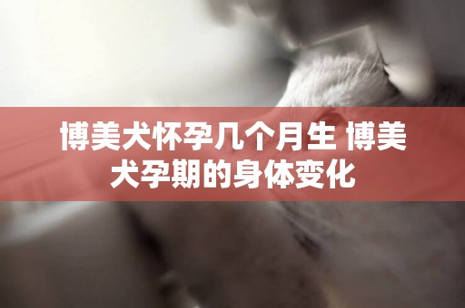 博美犬懷孕幾個月生 博美犬孕期的身體變化