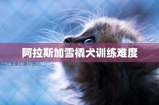 阿拉斯加雪橇犬訓練難度