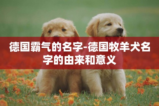 德國霸氣的名字-德國牧羊犬名字的由來和意義