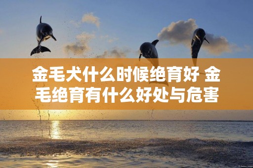 金毛犬什么時候絕育好 金毛絕育有什么好處與危害 金毛犬什么時候絕育好 金毛絕育有什么好處與危害