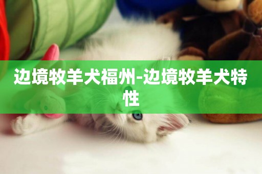 邊境牧羊犬福州-邊境牧羊犬特性