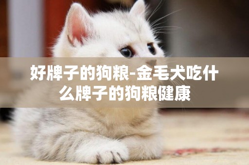 好牌子的狗糧-金毛犬吃什么牌子的狗糧健康