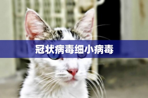 冠狀病毒細小病毒