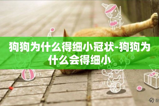 狗狗為什么得細小冠狀-狗狗為什么會得細小