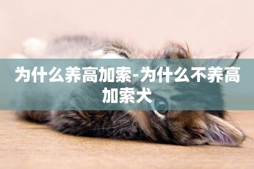 為什么養高加索-為什么不養高加索犬
