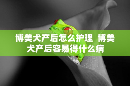 博美犬產后怎么護理  博美犬產后容易得什么病