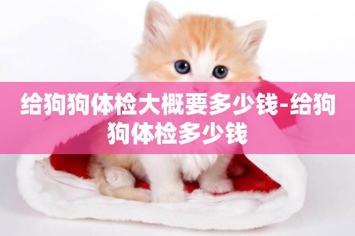 給狗狗體檢大概要多少錢-給狗狗體檢多少錢