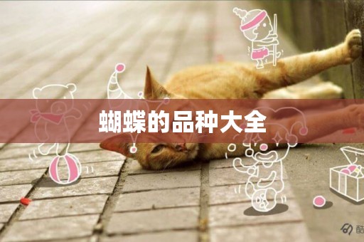 蝴蝶的品種大全