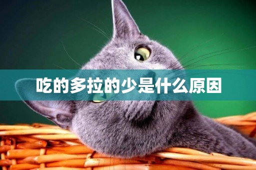 吃的多拉的少是什么原因