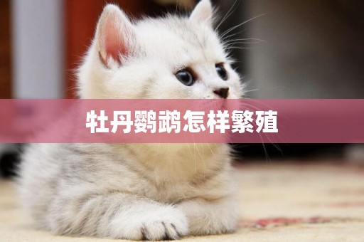 牡丹鸚鵡怎樣繁殖