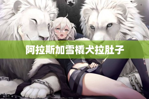 阿拉斯加雪橇犬拉肚子