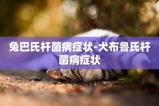 兔巴氏桿菌病癥狀-犬布魯氏桿菌病癥狀