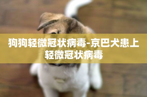 狗狗輕微冠狀病毒-京巴犬患上輕微冠狀病毒