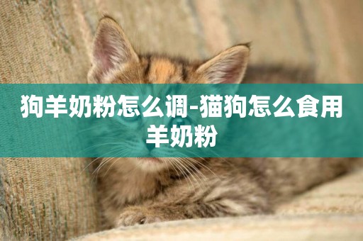 狗羊奶粉怎么調-貓狗怎么食用羊奶粉