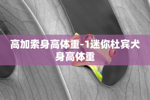 高加索身高體重-1迷你杜賓犬身高體重