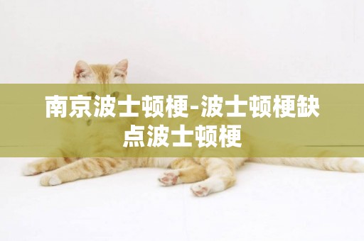 南京波士頓梗-波士頓梗缺點波士頓梗