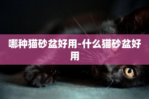 哪種貓砂盆好用-什么貓砂盆好用