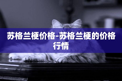 蘇格蘭梗價格-蘇格蘭梗的價格行情