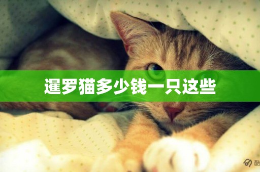 暹羅貓多少錢一只這些