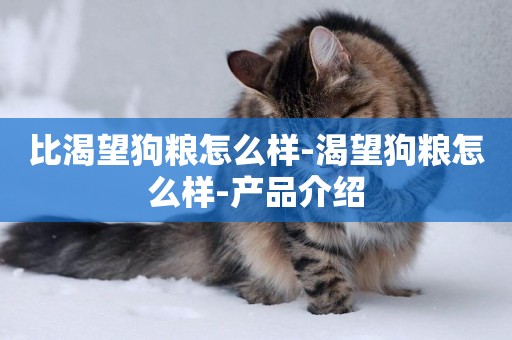 比渴望狗糧怎么樣-渴望狗糧怎么樣-產品介紹