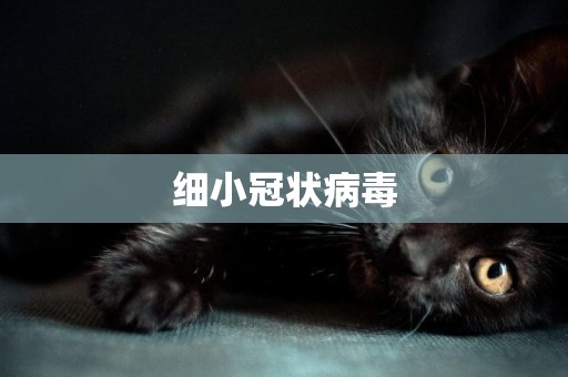 細小冠狀病毒