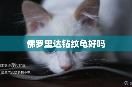 佛羅里達鉆紋龜好嗎