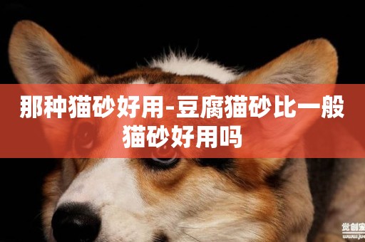 那種貓砂好用-豆腐貓砂比一般貓砂好用嗎