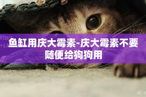 魚缸用慶大霉素-慶大霉素不要隨便給狗狗用