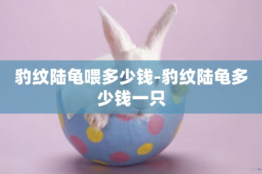 豹紋陸龜喂多少錢-豹紋陸龜多少錢一只