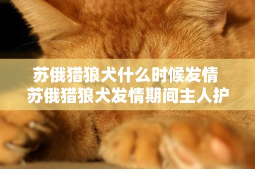蘇俄獵狼犬什么時候發情 蘇俄獵狼犬發情期間主人護理須知
