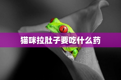 貓咪拉肚子要吃什么藥