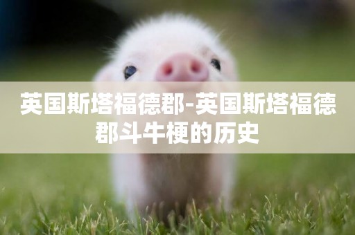 英國斯塔福德郡-英國斯塔福德郡斗牛梗的歷史