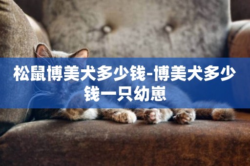 松鼠博美犬多少錢-博美犬多少錢一只幼崽