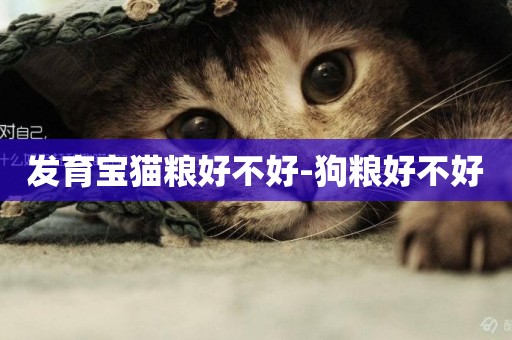 發育寶貓糧好不好-狗糧好不好