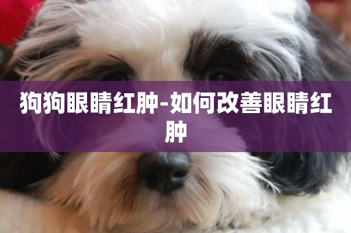 狗狗眼睛紅腫-如何改善眼睛紅腫