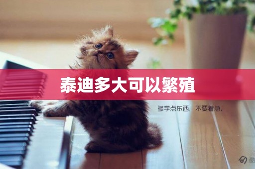 泰迪多大可以繁殖