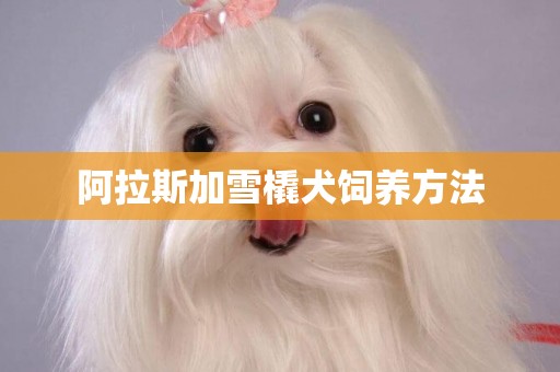 阿拉斯加雪橇犬飼養方法