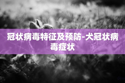 冠狀病毒特征及預防-犬冠狀病毒癥狀