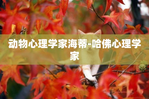 動物心理學家海蒂-哈佛心理學家