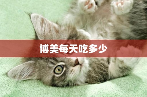 博美每天吃多少