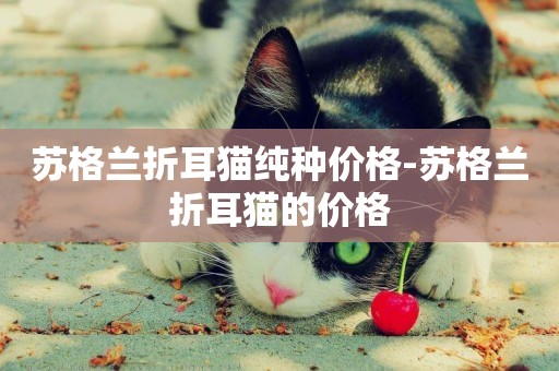 蘇格蘭折耳貓純種價格-蘇格蘭折耳貓的價格