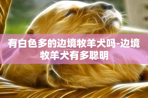 有白色多的邊境牧羊犬嗎-邊境牧羊犬有多聰明