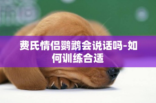 費氏情侶鸚鵡會說話嗎-如何訓練合適