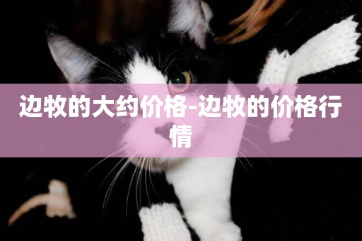 邊牧的大約價格-邊牧的價格行情