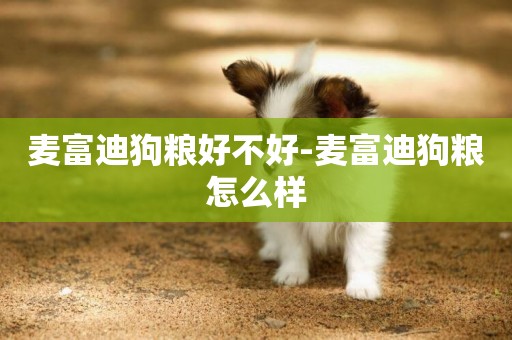 麥富迪狗糧好不好-麥富迪狗糧怎么樣
